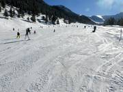 Pista Schneeflucht facile