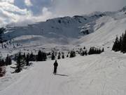 Vista sulle piste di Le Brévent