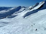 Molto spazio sciistico libero sopra il limite degli alberi