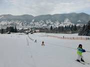 Altweglift - Manovia/Babylift a fune bassa