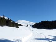 Pista d'altitudine "La Muntagnarda"