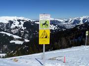 Cartello informativo per la protezione del bosco