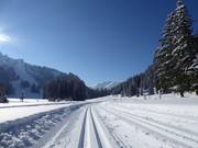 Piste da fondo perfettamente preparate