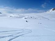 Heliski in Riksgränsen