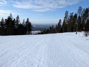 Pista Fridabranten n. 12