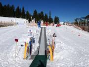 Suggerimento per i più piccoli 