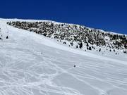 Pendii di neve fresca allo Steinermandl