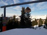 Discesa nel bosco The Stash