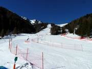 Vista sulle piste di Gardonè