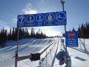 Tube Town Carpet - Tapis roulant/Tappeto Magico