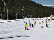 Panica B - Skilift a piattello