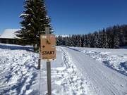 Suggerimento per i più piccoli 