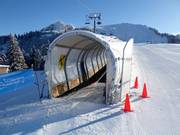 Tapis des Chaux - Tapis roulant/Tappeto Magico con galleria