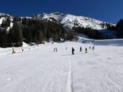 Ampia area principianti Kaserwald