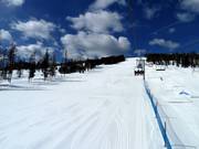 Discesa principale Main