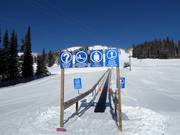 Discovery Carpet - Tapis roulant/Tappeto Magico