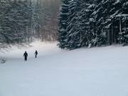 Discesa facile presso lo skilift Hirtenteichlift