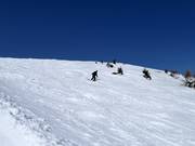 Pendio di neve fresca presso lo skilift Hochsonnlift