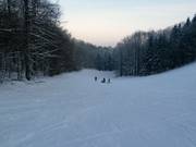 Discesa facile presso lo skilift Hirtenteichlift