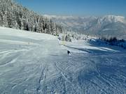 Discesa dal Burtschasattel