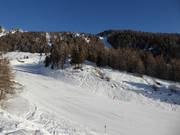 Pista facile Campo Scuola Scoiattolo