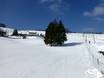 Offerta di piste Brisgovia-Alta Foresta Nera – Offerta di piste Schauinsland - Hofsgrund