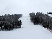 Discesa difficile Wolverine