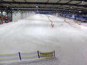 Pista principale e snowpark