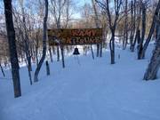 Suggerimento per i più piccoli 