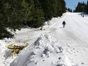 #10 Snezhanka - Manovia/Babylift a fune bassa