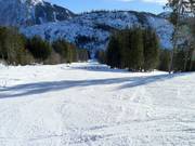 Discesa facile Gammering