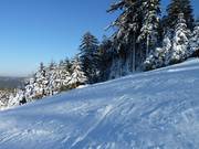 Pista preparata al Mehliskopf