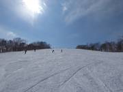 Ampia pista Steamboat B