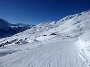 Vista su Schreckfeld fino a First