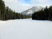 Piste ampie e facili presso la seggiovia doppia Bronze Chair
