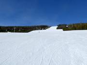 Pista estremamente larga Eldorado