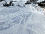 Area principianti presso gli skilift a piattello Mikkel e Mikkeline