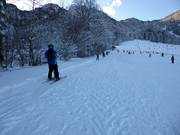 Tapis roulant Streidlhang