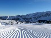 Ottima preparazione delle piste