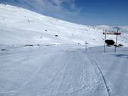 Pista facile Fjällräven