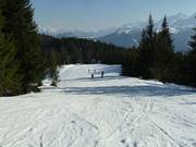 Pista presso la seggiovia Sattelkurvenlift