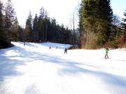 Le famiglie e i bambini amano le piste facili