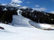 La discesa dall'alpe termina presso il Gamsjet