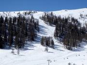 Piste di gobbe presso lo Speiereck