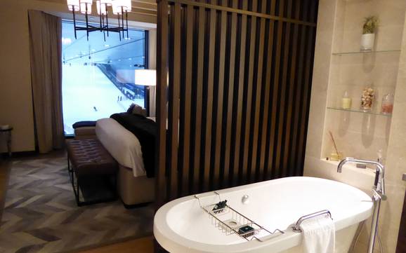 Emirati Arabi Uniti: Offerta di alloggi dei comprensori sciistici – Offerta di alloggi Ski Dubai - Mall of the Emirates