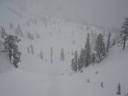 Discesa Upper International