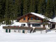 Rifugio Märchenwies'n Hütte sulla Planai gestito dal Genussspecht-Wirt