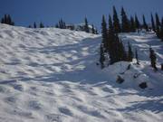 Perfetta pista di gobbe