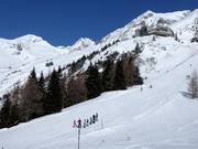 Discesa a valle dall’Ankogel