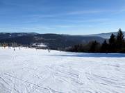 Piste facili presso gli impianti di risalita Thurnhof